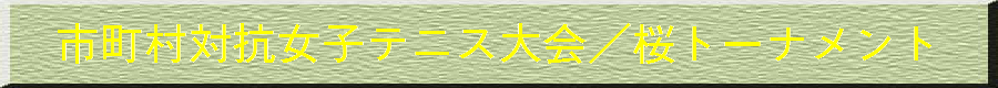東京都市町村テニス協会 